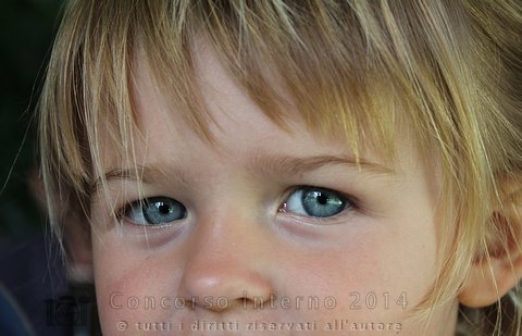 Sguardi